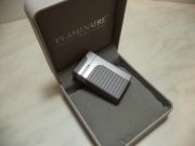 FLAMINAIRE ADRIEN 02 FLAMINAIRE ADRIEN 02